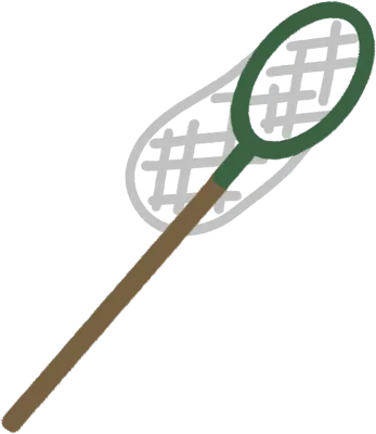 잠자리채