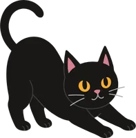 고양이03