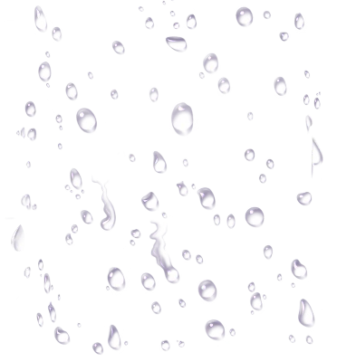 aki_WS08