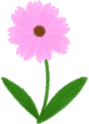 핑크 꽃