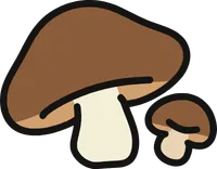 버섯들