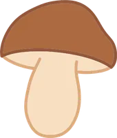 버섯