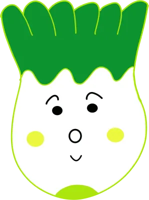 배추