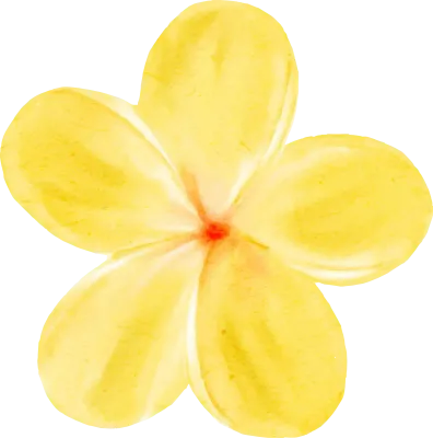 Watercolor Yellow Flower