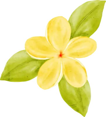 Watercolor Yellow Flower