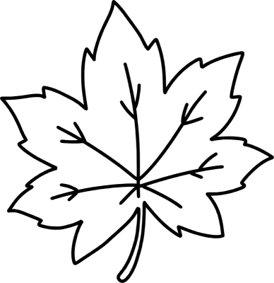 단풍잎 스케치