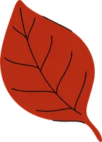 Autumn leaves hand drawn doodle flat design.