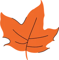 Autumn leaves hand drawn doodle flat design.
