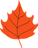 Autumn leaves hand drawn doodle flat design.