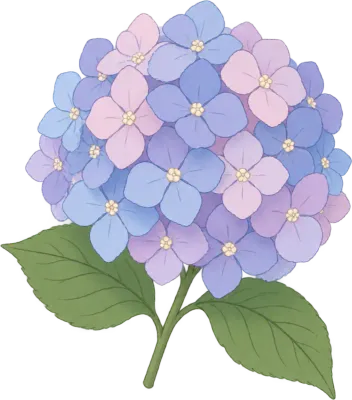 수국꽃손그림일러스트