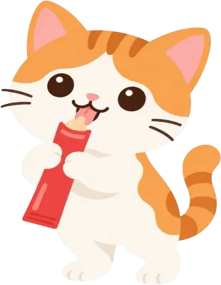 육포 간식