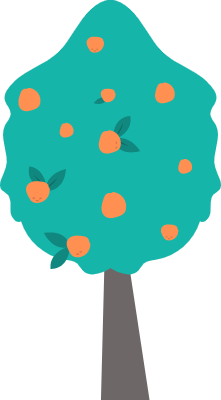 귤나무 일러스트