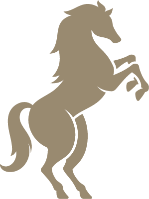 심플한 스타일 말 아이콘 일러스트