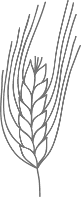 선으로 그린 곡식