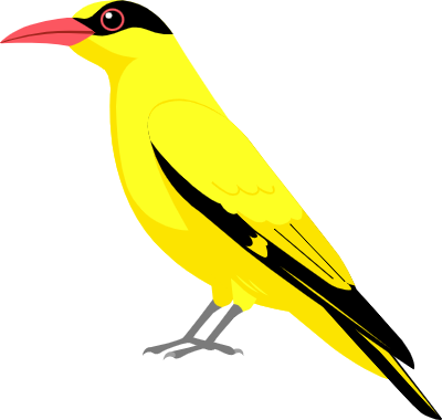 한반도를 방문하는 여름 철새들