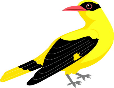 한반도를 방문하는 여름 철새들