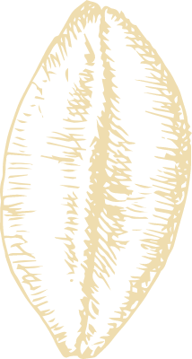 손으로 그린 쌀겨