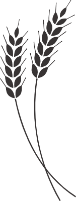 갈색 곡식 아이콘