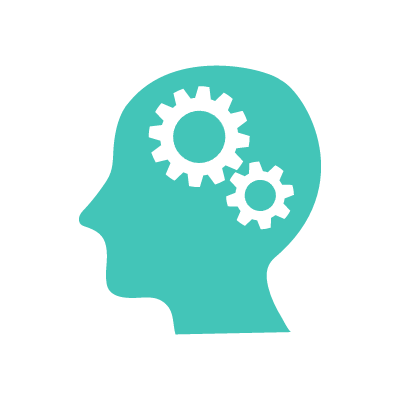 단순한 머리구조