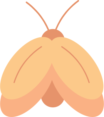 Earthy Autumn Season Element