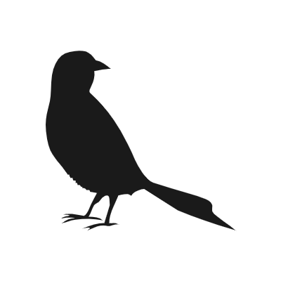 Bird silhouette15