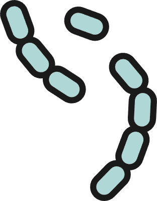 매우 작은 세균