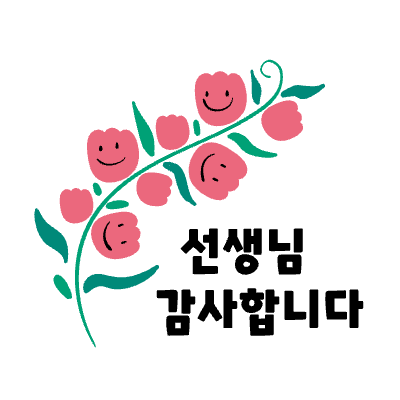 카네이션, 꽃, 스승의날, 선생님 감사합니다