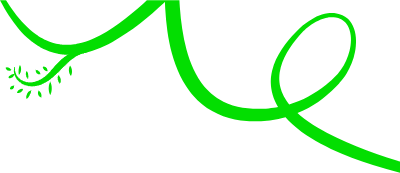 치렁치렁한 덩굴 줄기