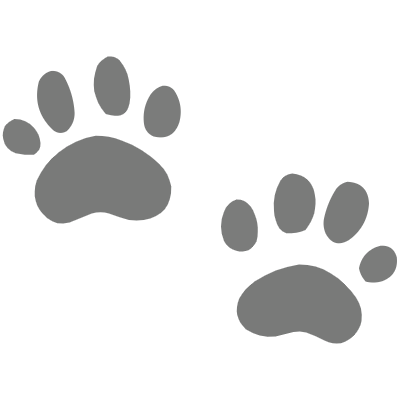 footprints 발자국