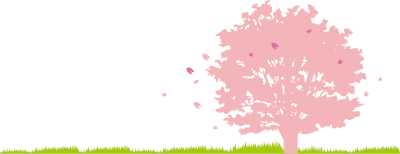 Silhouette of cherry blossoms in full bloom in spring