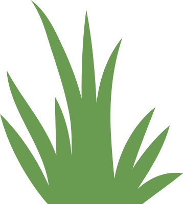 Grass Flat Illustration