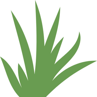 Grass Flat Illustration