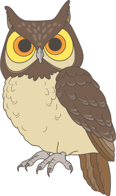 부엉이