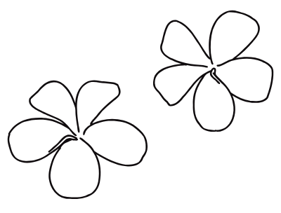 plumeria