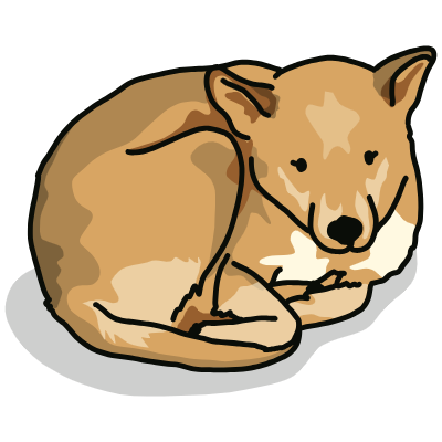 Shiba Inu