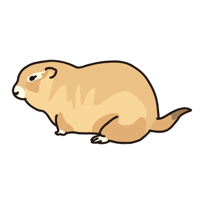 prairie dog