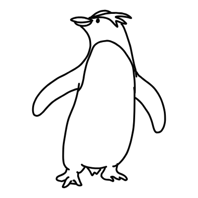 rockhopper penguin