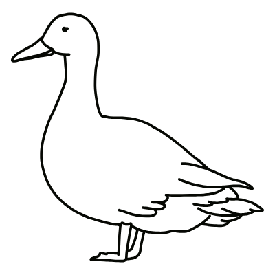 duck