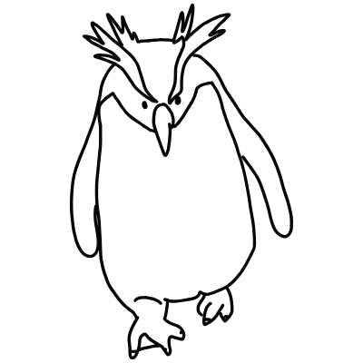 rockhopper penguin
