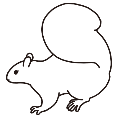 squirrel