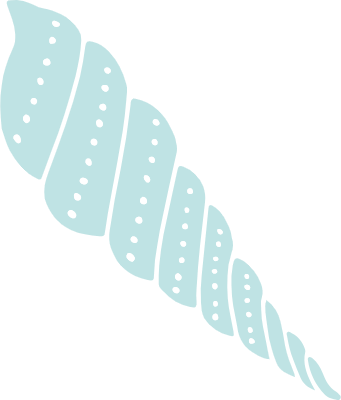 beautiful shell silhouette