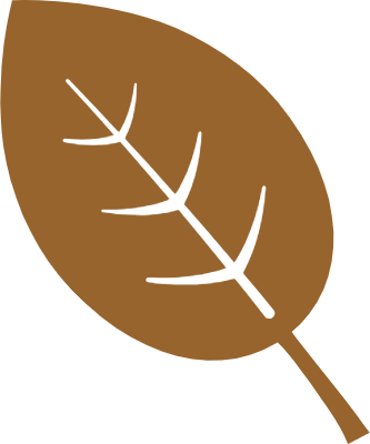 Simple and cute fallen leaves illustration, icon, design decoration. autumn leaves.