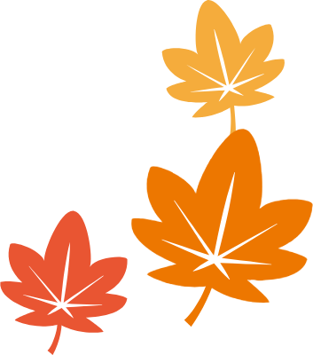 Simple and cute autumn leaves illustration, frame design decoration. Autumn maple leaf.