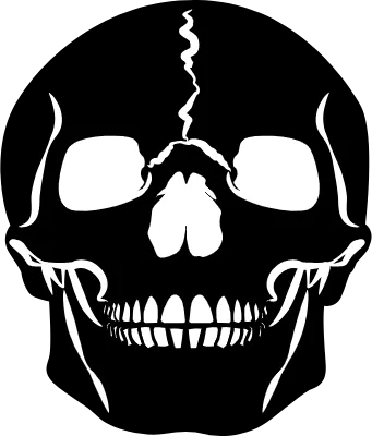 Human skull isolated, Front view of natural human skull on isolated black background