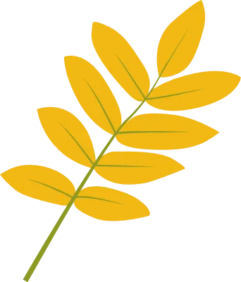 노란 나뭇잎 나뭇가지