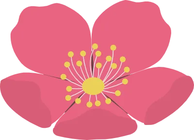 梅春花イラスト