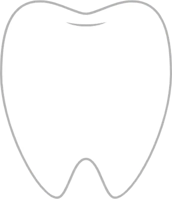 シンプルな歯のイラスト