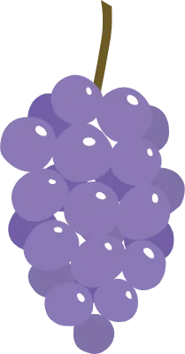 紫のブドウ