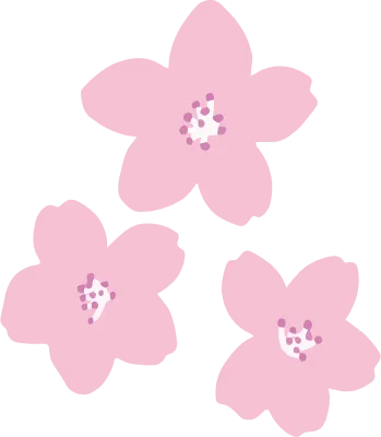 Simple cherry blossom illustration