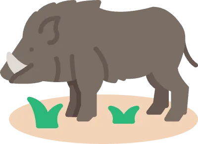 Wild boar icon